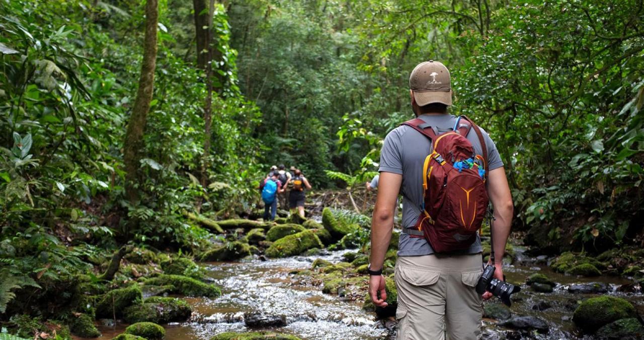 Pousada Salve Floresta Tapiraí Buitenkant foto