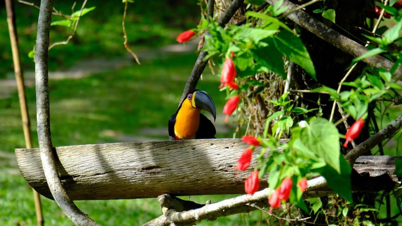 Pousada Salve Floresta Tapiraí Buitenkant foto