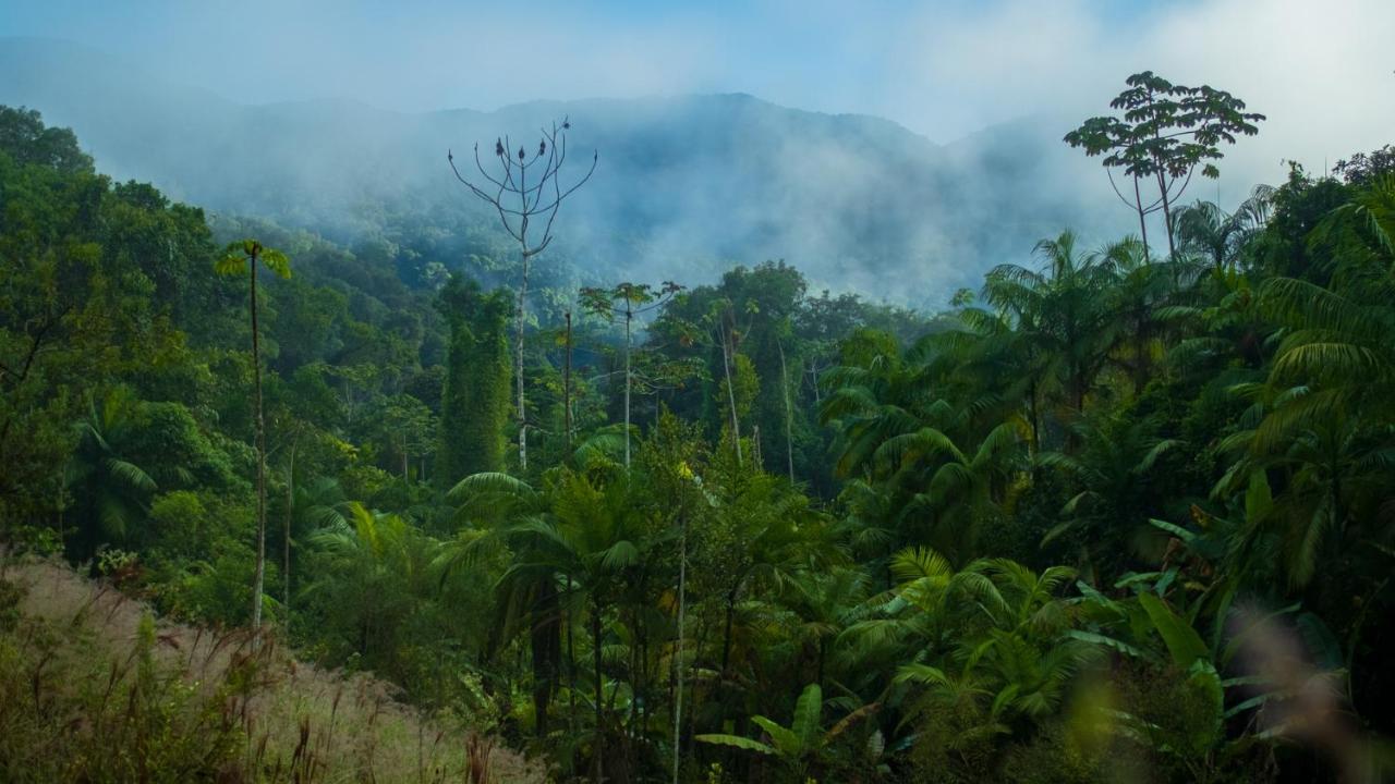 Pousada Salve Floresta Tapiraí Buitenkant foto