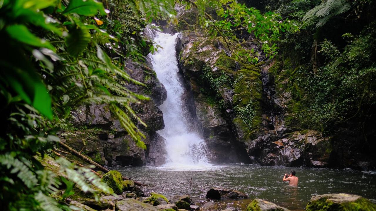 Pousada Salve Floresta Tapiraí Buitenkant foto